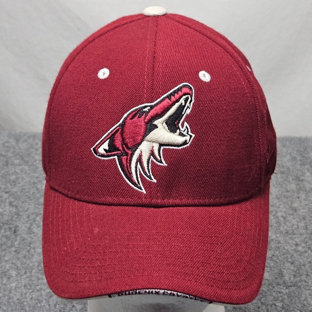 Vintage Phoenix Coyotes Hat Arizona Zephyr NHL Adjustable Hockey Cap 90s Y2K